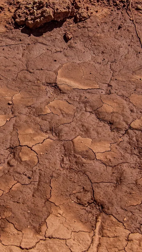 Wet desert soil drying out, time lapse Stock Footage 306781357