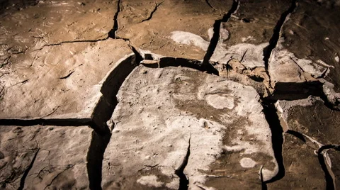 Wet earth drying and cracking timelapse drought Stock Footage