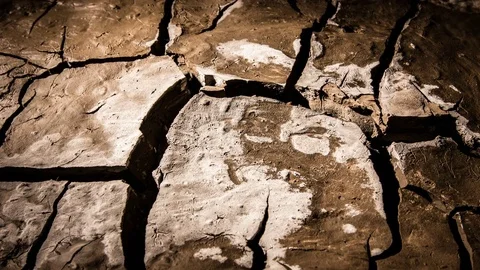 Wet earth drying and cracking timelapse drought Stock Footage 84685630