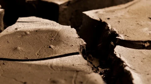Wet earth drying and cracking timelapse drought Stock Footage 86106624