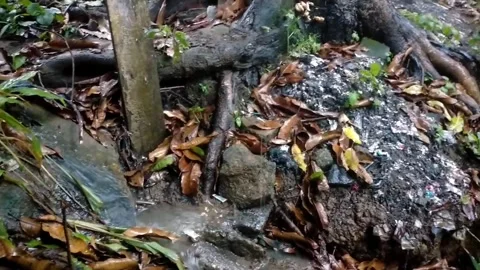 Wet Earth Stock Footage 243345074