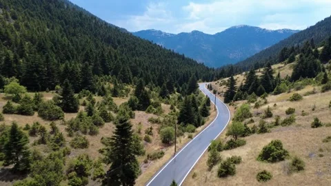 Wet Empty Road Through Fir Covered Hills With Power Poles And Distant Range Vídeo Stock 325221833