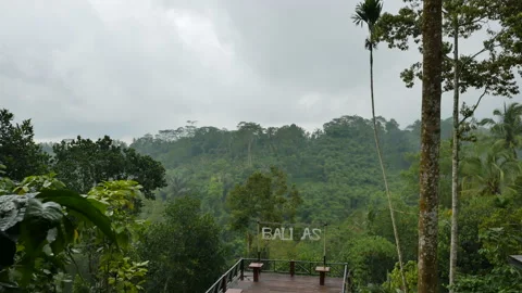 Wet empty tourist observation deck and scenic view at jungles in the rain in Stock Footage 229657223