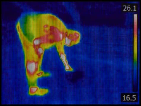 Wet Floor Problem Stock Photos