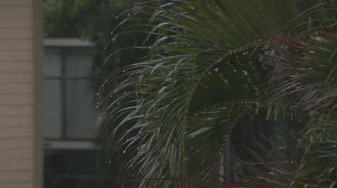 Wet Stock Footage 1055077