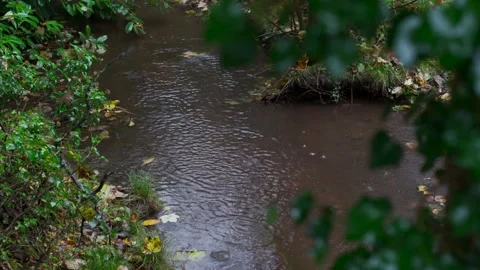 A wet forest scene with rain through trees onto a stream of dirty water 스톡 동영상 237934735