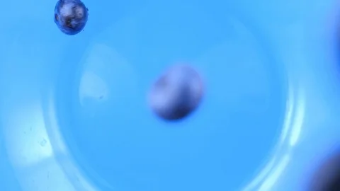 Wet fresh Blueberry falling on blue plate, slow motion, top view Stock Footage 93236818