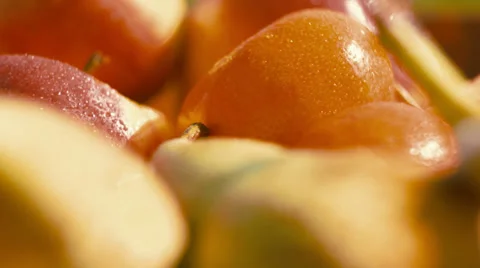 Wet Fruit Video stock 39093393