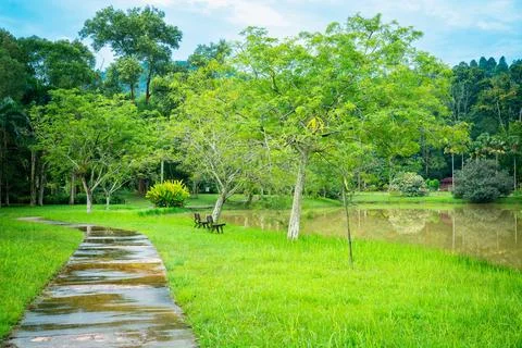 Wet garden path Stock Photos