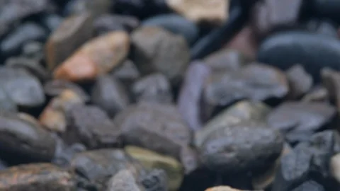 Wet Garden Stone Stock Footage 94584316