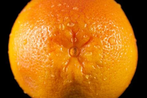 Wet grapefruit 库存照片