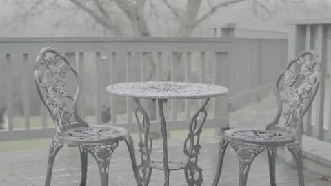 Wet Grass Close-up 스톡 동영상 85058716