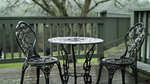 Wet Grass Close-up 스톡 동영상 85078543