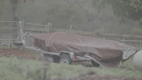 Wet Grass Close-up - Log Stockbeeldmateriaal 85059501