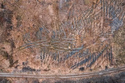 Wet grass fields texture wallpaper from aerial drone perspective Stock Photos