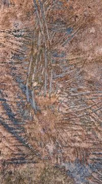 Wet grass fields texture wallpaper from aerial drone perspective Stock Photos