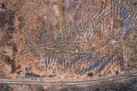 Wet grass fields texture wallpaper from aerial drone perspective Stock Photos