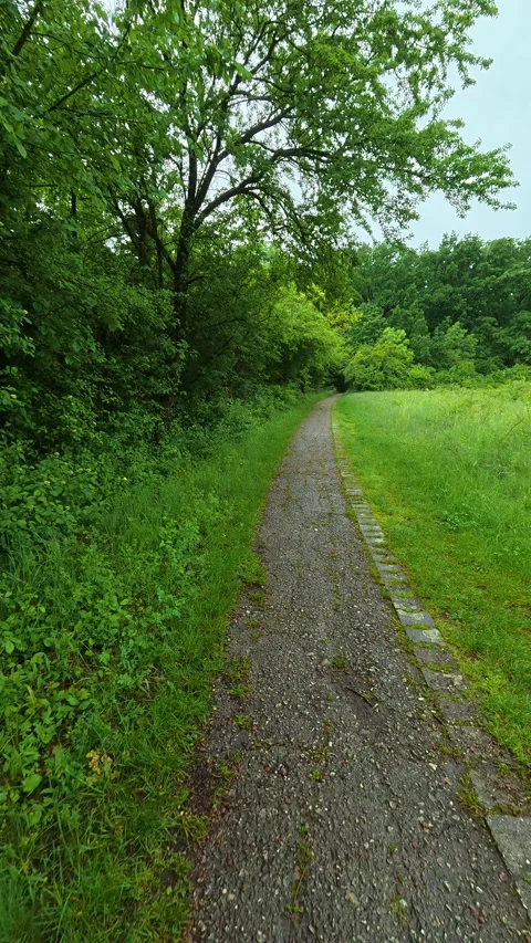 Wet gravel path winds through lush green grass. Sumarice, Vertical Stock Footage 340903283