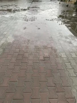 Wet Interlocking Brick Pathway After Rain Stock Photos