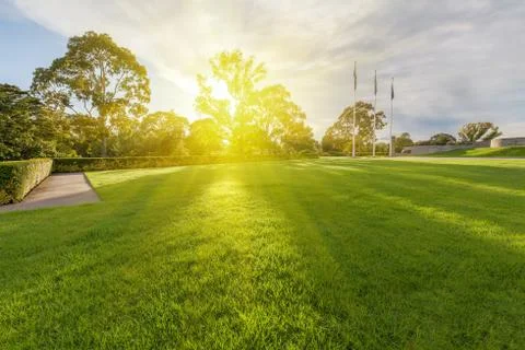 Wet lawn with trees in the background Stock Photos