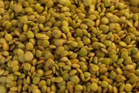 Wet lentils texture Stock Photos