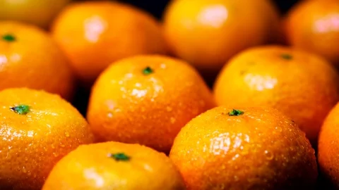 Wet mandarines Stock Footage 100022890