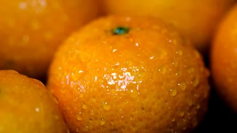 Wet mandarines Stock Footage 100022902