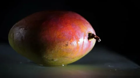 Wet mango with water dripping on it Stock Footage 100885515