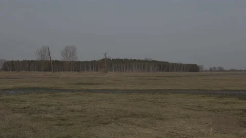 Wet meadow in early spring, 8K slow motion Stock Footage 172287154
