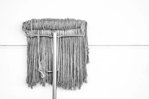 Wet mob on white background Stock Photos