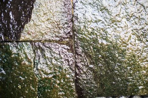 Wet mossy stone tile texture Stock Photos