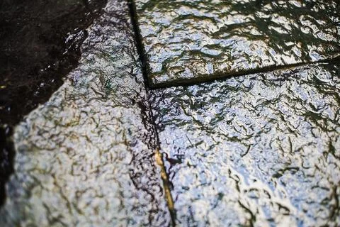 Wet mossy stone tile texture Stock Photos
