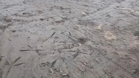 Wet Mud and Eroded Clay Ground Surface Texture Stock Photos