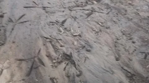 Wet Mud and Eroded Clay Ground Surface Texture Stock Photos