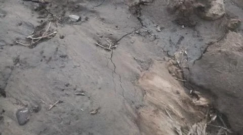 Wet Mud and Eroded Clay Ground Surface Texture Stock Photos