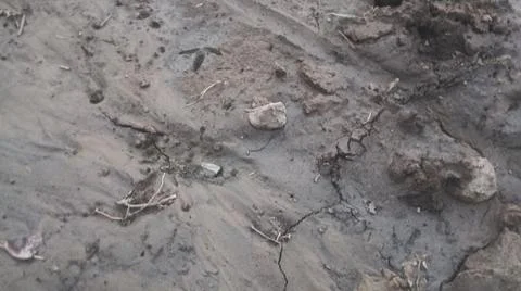 Wet Mud and Eroded Clay Ground Surface Texture Stock Photos