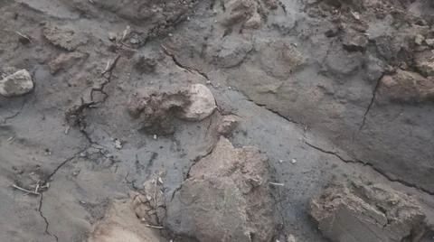 Wet Mud and Eroded Clay Ground Surface Texture Stock Photos