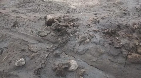 Wet Mud and Eroded Clay Ground Surface Texture Stock Photos