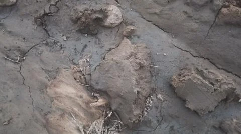 Wet Mud and Eroded Clay Ground Surface Texture Stock Photos