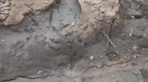 Wet Mud and Eroded Clay Ground Surface Texture Stock Photos