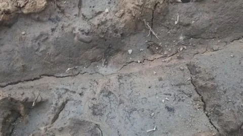 Wet Mud and Eroded Clay Ground Surface Texture Stock Photos