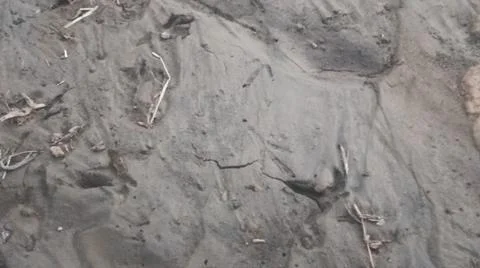 Wet Mud and Eroded Clay Ground Surface Texture Stock Photos