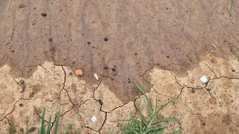 Wet Mud Flowing Over Dry Cracked Soil - Drought Relief And Irrigation Concept Stock Footage 341741047