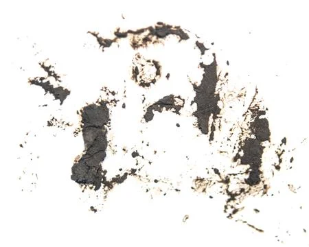 Wet mud Stock Photos