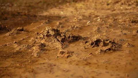 Wet mud puddle with brown soil texture Stock Photos
