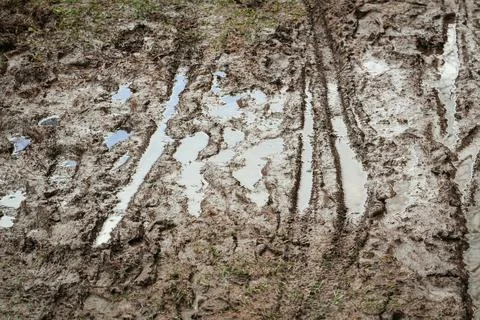 Wet Mud Traces Stock Photos
