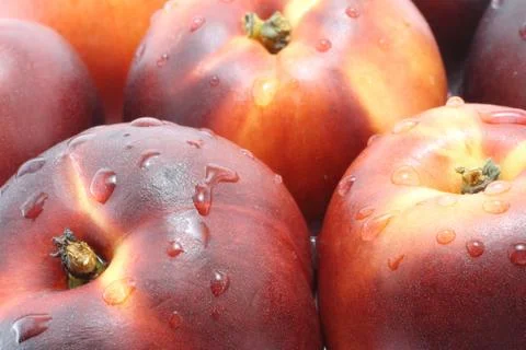 Wet nectarines Stock Photos
