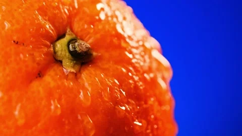 Wet orange Stock Footage 152112778