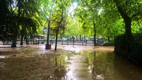 A wet path in the. Stock Footage 282623827