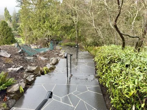 Wet path of slabs surrounded by greenery in spring in the park Stock Photos